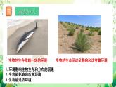 北師大版生物八下 8.23.1《生物的生存依賴于一定的環(huán)境》課件+素材