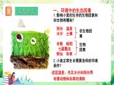 北師大版生物八下 8.23.1《生物的生存依賴于一定的環(huán)境》課件+素材