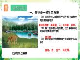 北師大版生物八下 8.23.2《生態(tài)系統(tǒng)概述》課件+素材