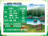 北師大版生物八下 8.23.2《生態(tài)系統(tǒng)概述》課件+素材