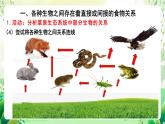 北師大版生物八下8.23.3 《生態(tài)系統(tǒng)的結(jié)構(gòu)和功能》課件+素材