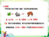 北師大版生物八下8.23.3 《生態(tài)系統(tǒng)的結(jié)構(gòu)和功能》課件+素材