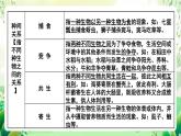 北師大版生物八下 第23章 《生態(tài)系統(tǒng)及其穩(wěn)定性》課件+ 章末測(cè)試卷（原卷版+解析版）
