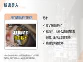 第六章第一節(jié)《人體生命活動(dòng)的調(diào)節(jié)》第一課時(shí)（課件）2025-2026學(xué)年人教版八年級(jí)生物上冊(cè)