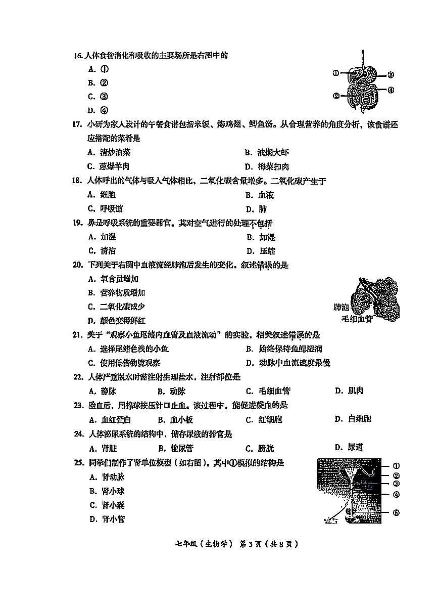 2025北京海淀初一（下）期末生物试卷第3页