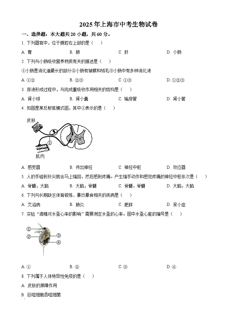 2025年上海市中考生物真题（原卷版）第1页