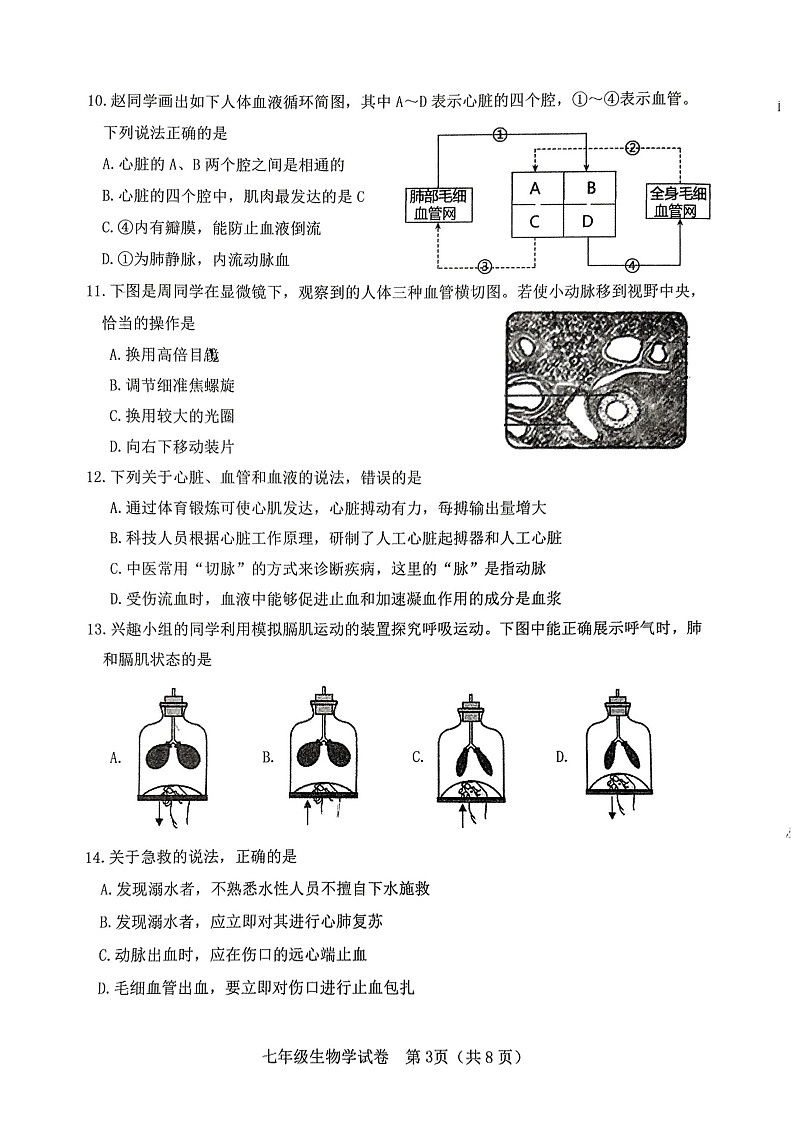 2025年河北石家庄市桥西区7年级下学期末生物试卷第3页