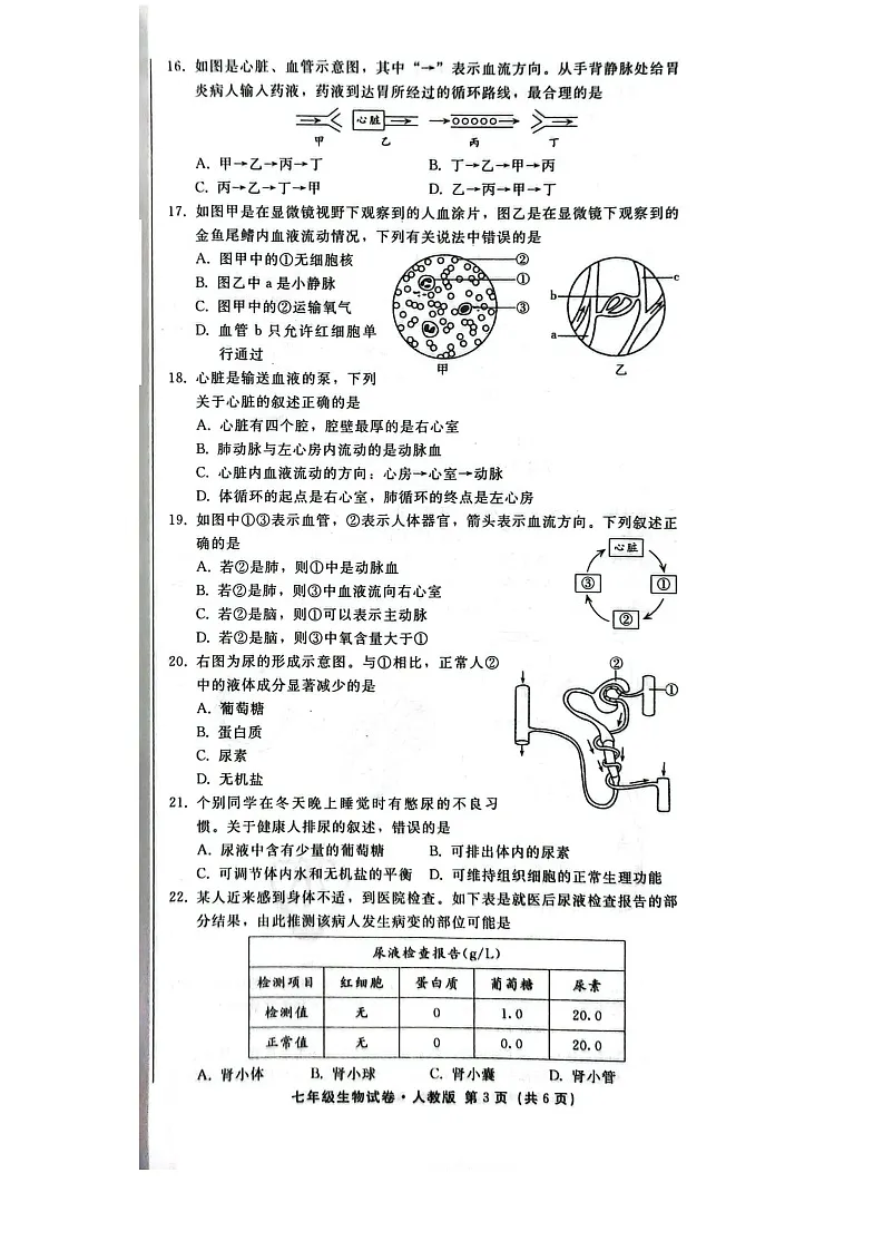 2025年河北省邢台市七年级下学期期末考试生物试卷第3页