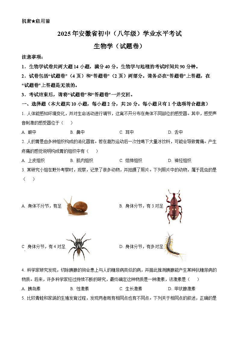 2025年安徽省初中学业水平考试中考（会考）生物试卷(真题+答案)第1页