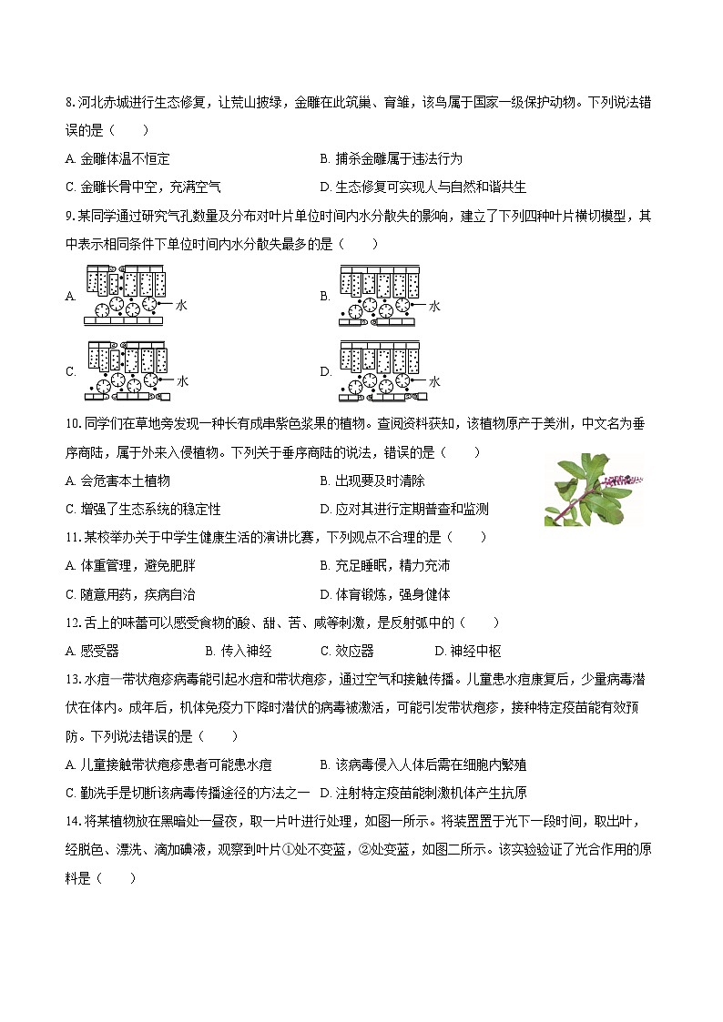 2025年河北省中考生物试卷（含解析）第2页