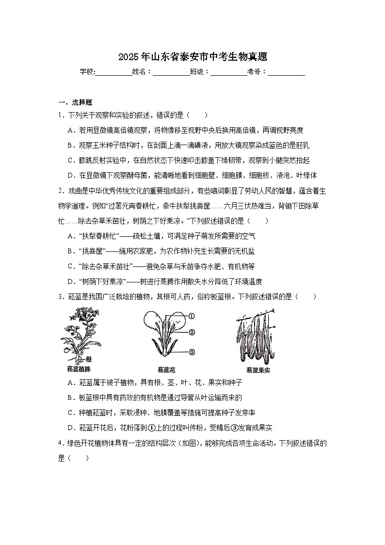 2025年山东省泰安市中考生物真题（无答案）第1页
