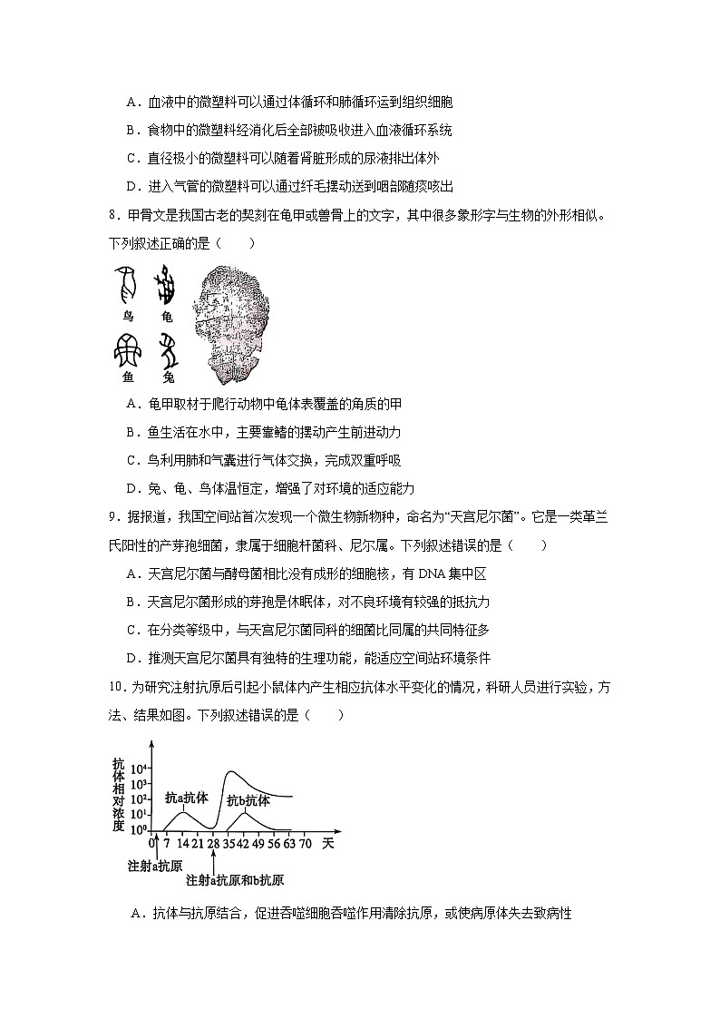 2025年山东省泰安市中考生物真题（无答案）第3页