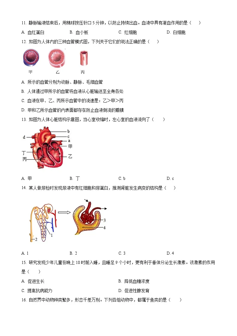 湖南省长沙市一中教育集团联考2024-2025学年八年级生物模拟试题（含答案+详细解析）第3页
