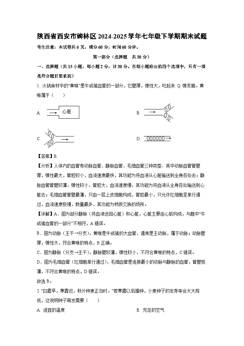 陕西省西安市碑林区2024-2025学年七年级下学期期末生物试卷（解析版）第1页