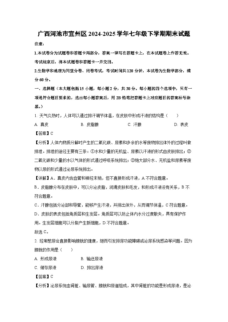 广西河池市宜州区2024-2025学年七年级下学期期末生物试卷（解析版）第1页