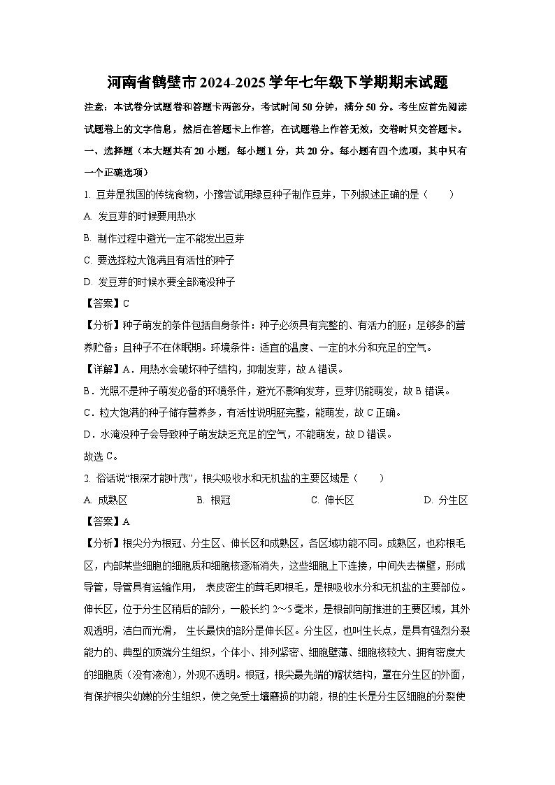 河南省鹤壁市2024-2025学年七年级下学期期末生物试卷（解析版）第1页