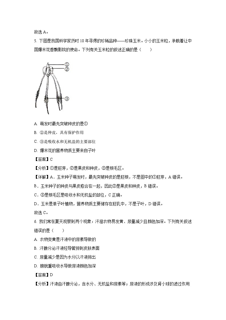 广东省汕头市龙湖区2024-2025学年七年级下学期期末生物试卷（解析版）第3页