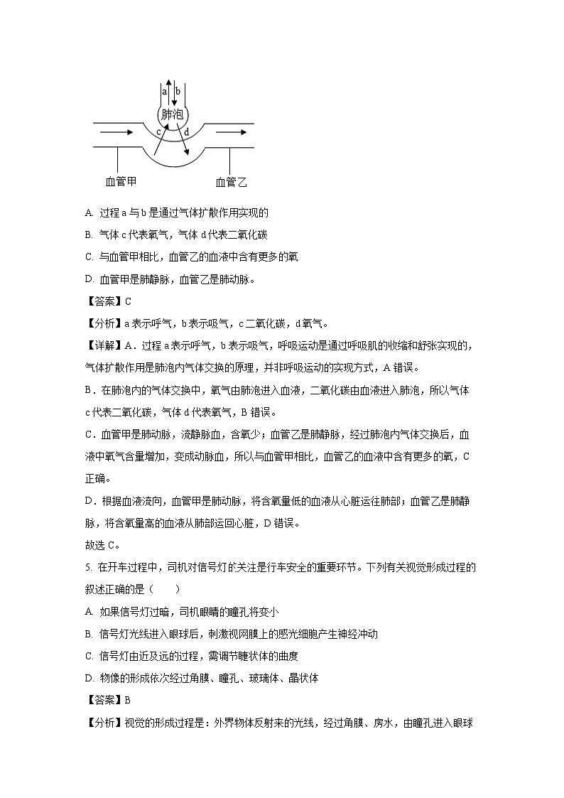 安徽省淮北市五校联考2024-2025学年七年级下学期期末生物试卷（解析版）第3页