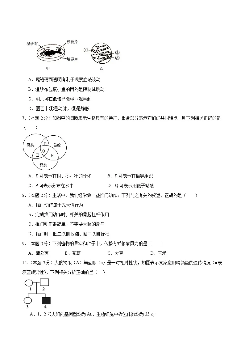 【8生二模 初二会考】2024年安徽省亳州市初中学业水平考试生物模拟试题二第2页