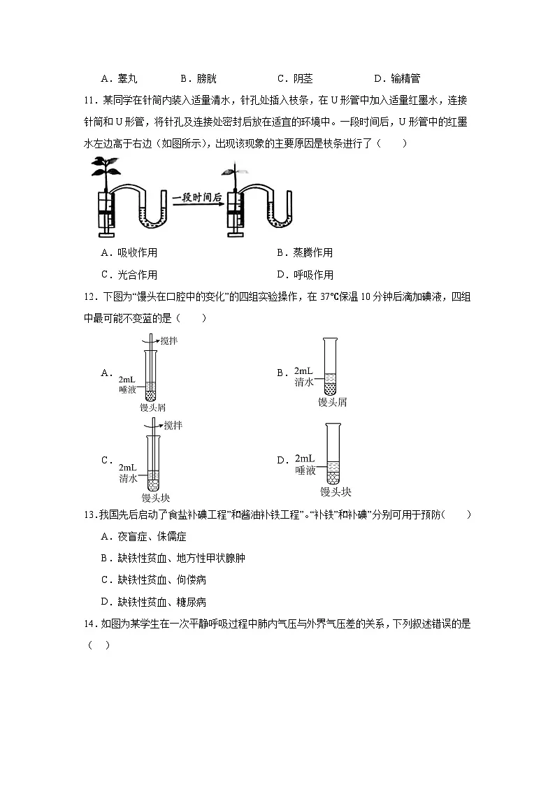 2025年广东省云浮市云城区中考模拟生物试题（附答案解析）第3页