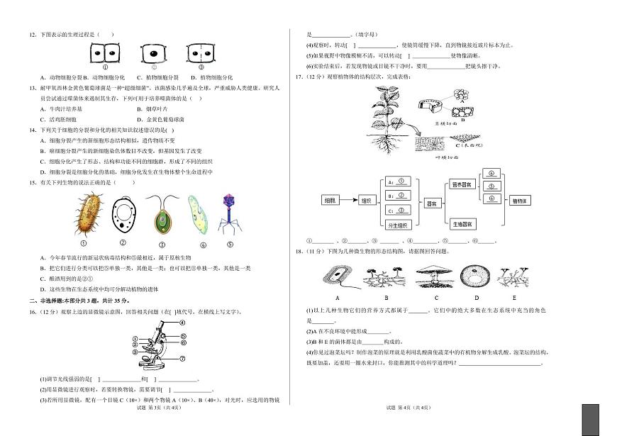 2024-2025 学年七年级生物上学期期末卷含答案第2页