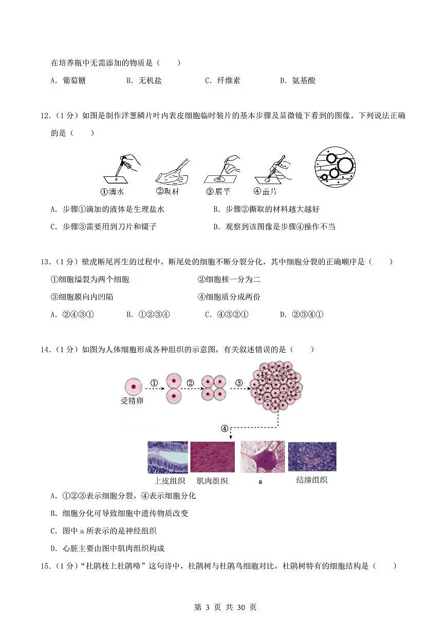 2024版人教版七年级上册生物期末真题卷（1）含答案第3页