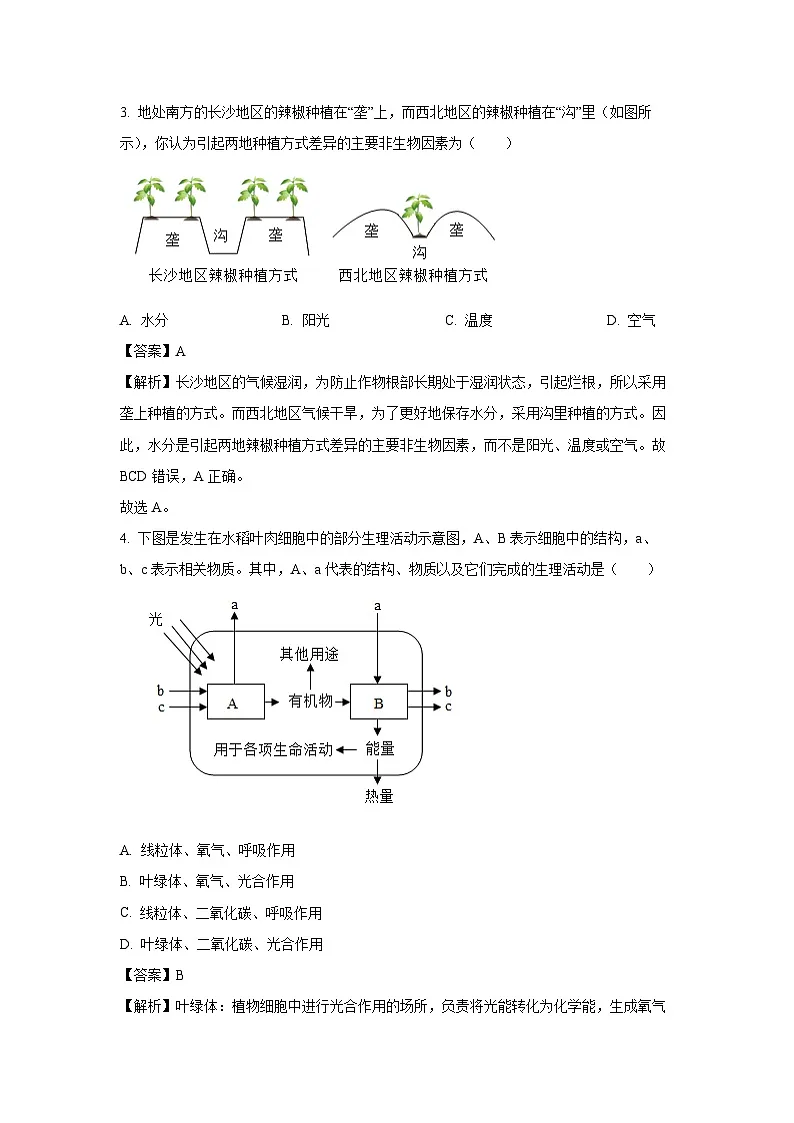 2025年山东省泰安市宁阳县中考二模[中考模拟]生物试卷（解析版）第2页
