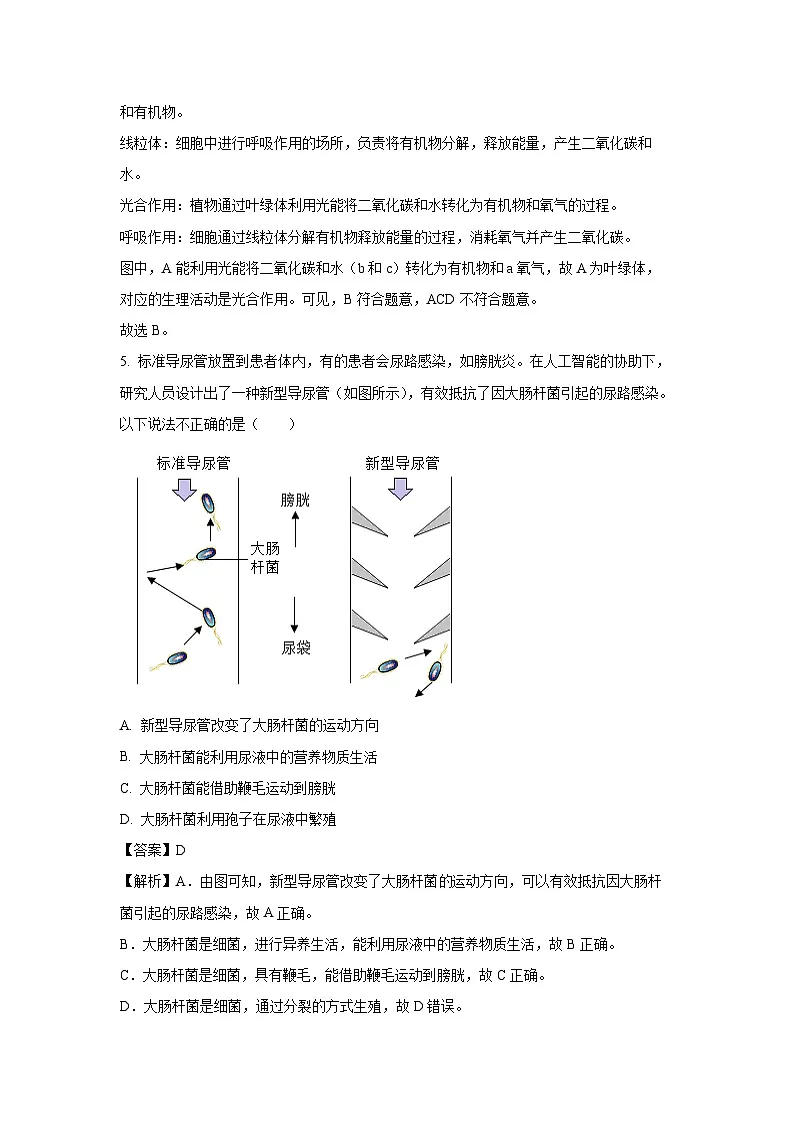 2025年山东省泰安市宁阳县中考二模[中考模拟]生物试卷（解析版）第3页