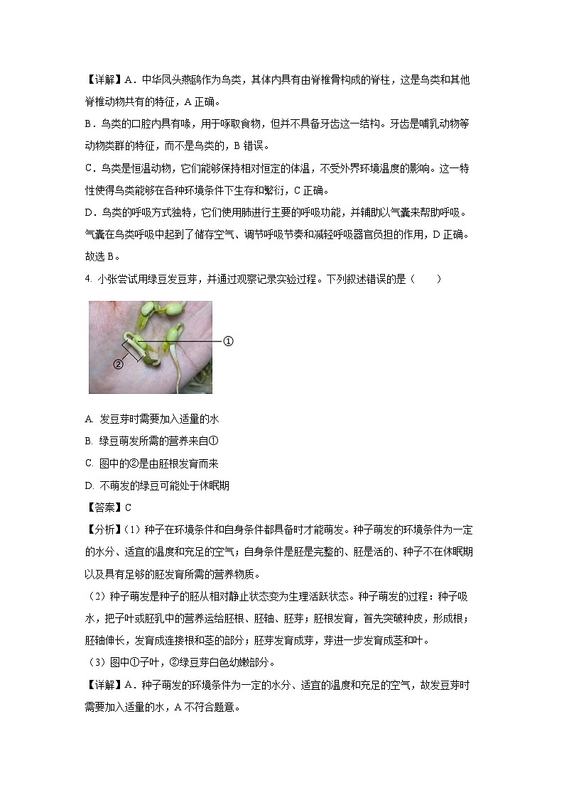 2025年广东省汕头市潮阳区中考二模[中考模拟]生物试卷（解析版）第3页