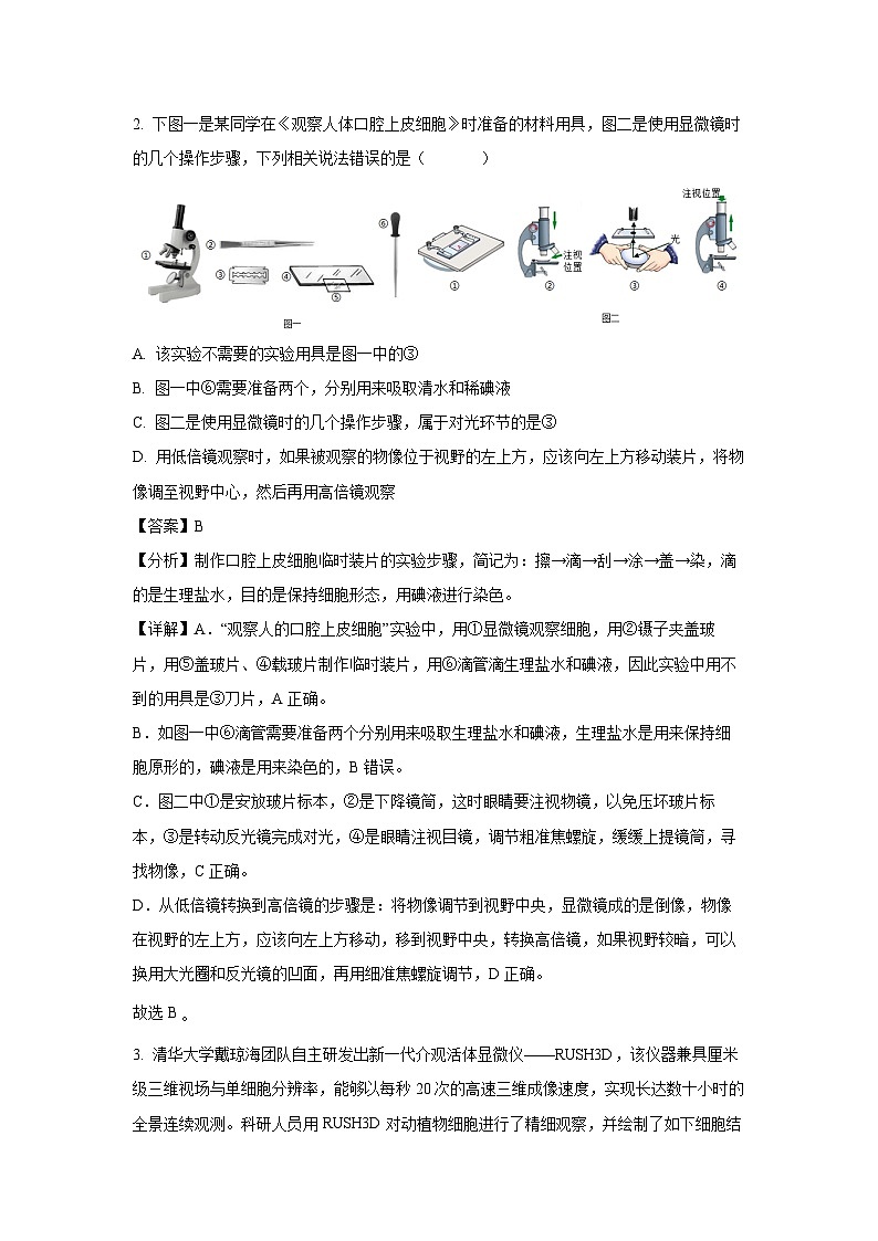 2025年山东省临沂市郯城县八年级中考二模[中考模拟]生物试卷（解析版）第2页