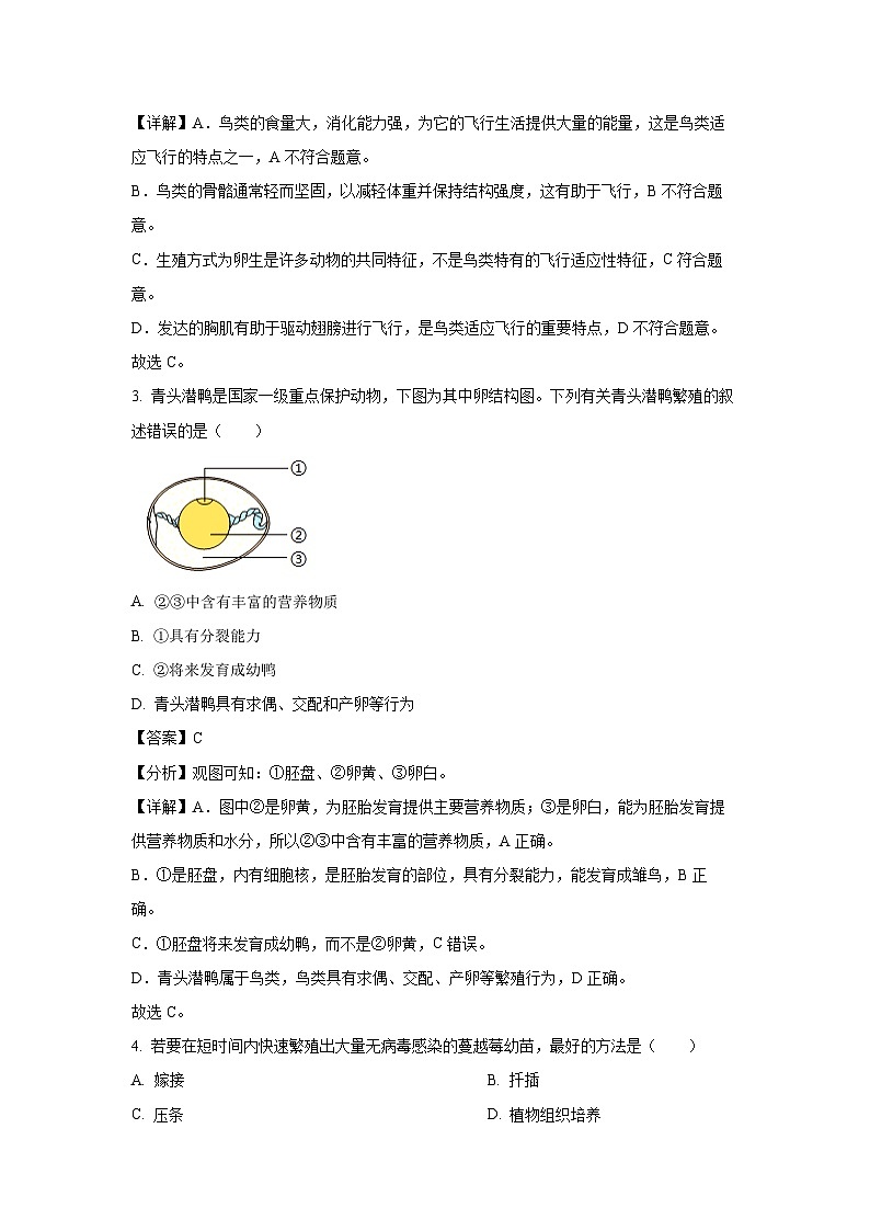 2025年辽宁省沈阳市于洪区八年级中考二模[中考模拟]生物试卷（解析版）第2页