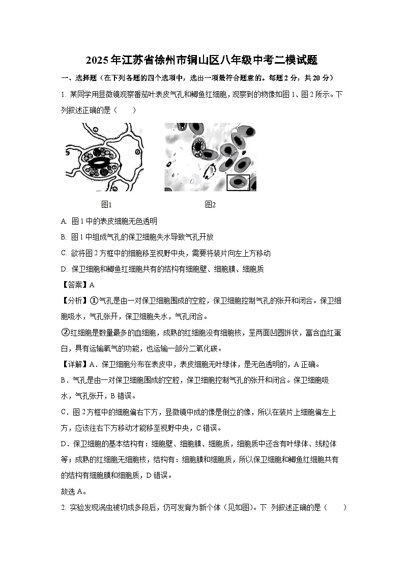 2025年江苏省徐州市铜山区八年级中考二模[中考模拟]生物试卷（解析版）第1页