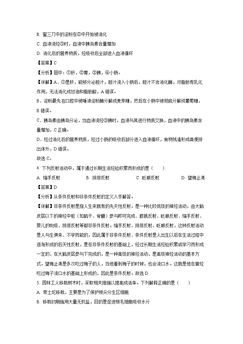 2025年江苏省徐州市铜山区八年级中考二模[中考模拟]生物试卷（解析版）第3页