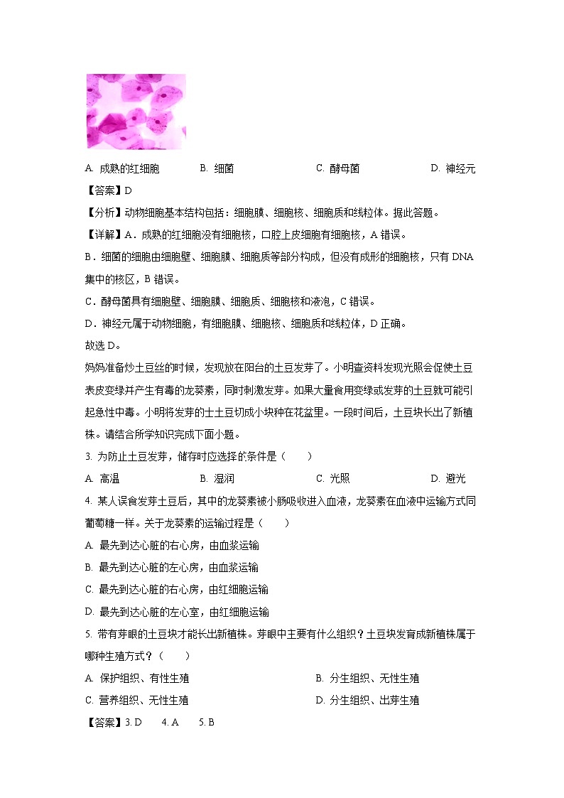 2025年河南省驻马店市驿城区部分初中中考一模[中考模拟]生物试卷（解析版）第2页