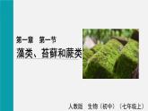 第一节 藻类、苔藓和蕨类（课件）2025年人教版七年级生物上册
