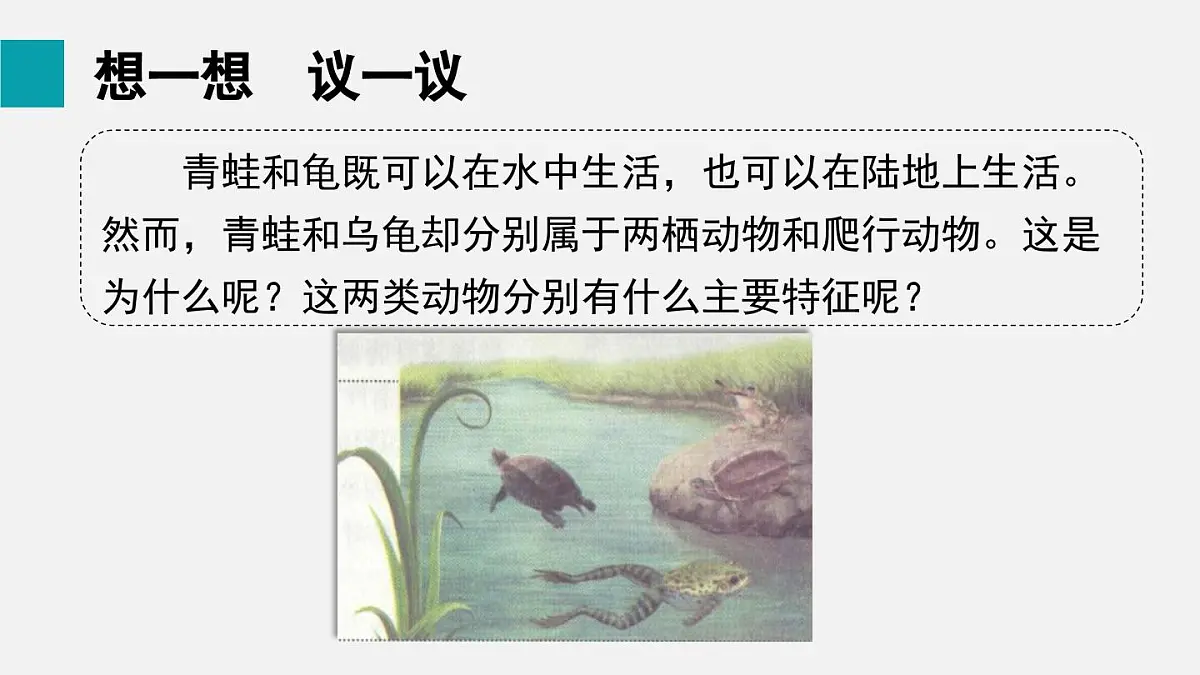 二 两栖动物和爬行动物（课件）2025年人教版七年级生物上册第2页