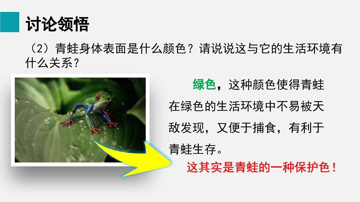 二 两栖动物和爬行动物（课件）2025年人教版七年级生物上册第5页