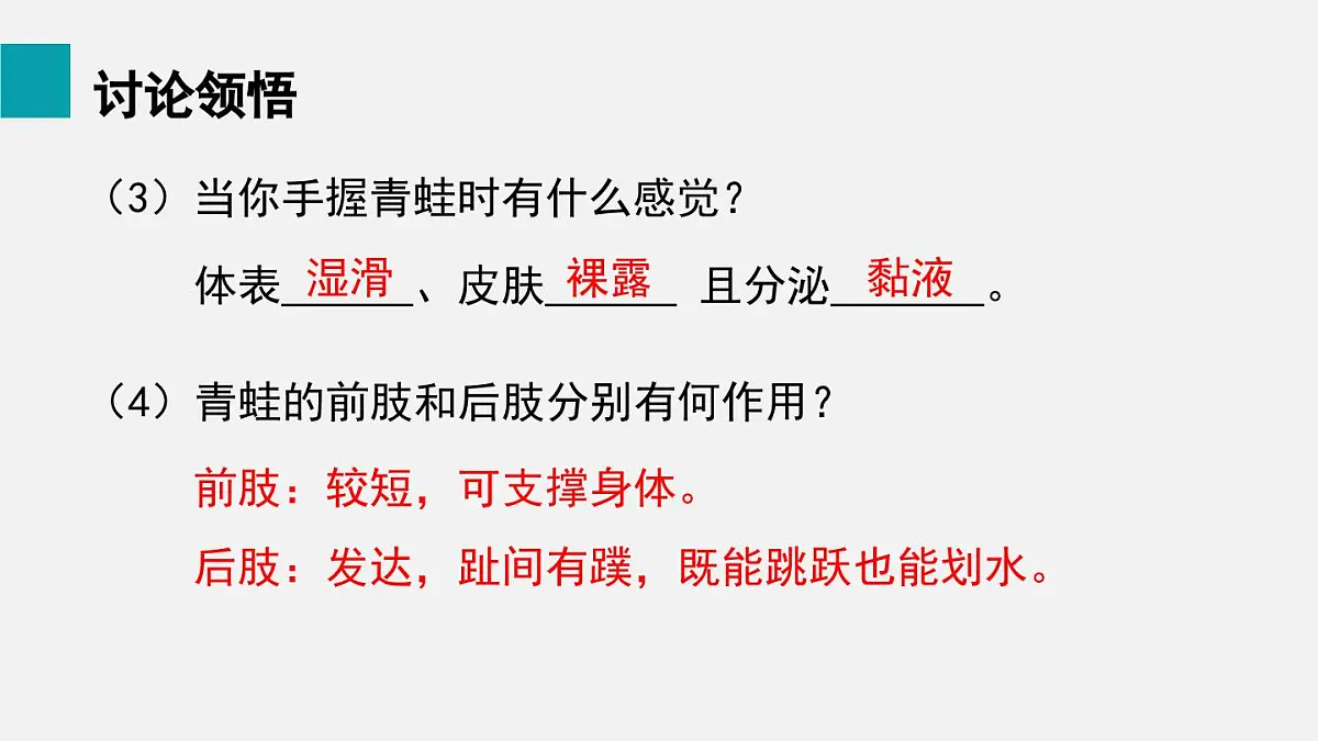 二 两栖动物和爬行动物（课件）2025年人教版七年级生物上册第6页
