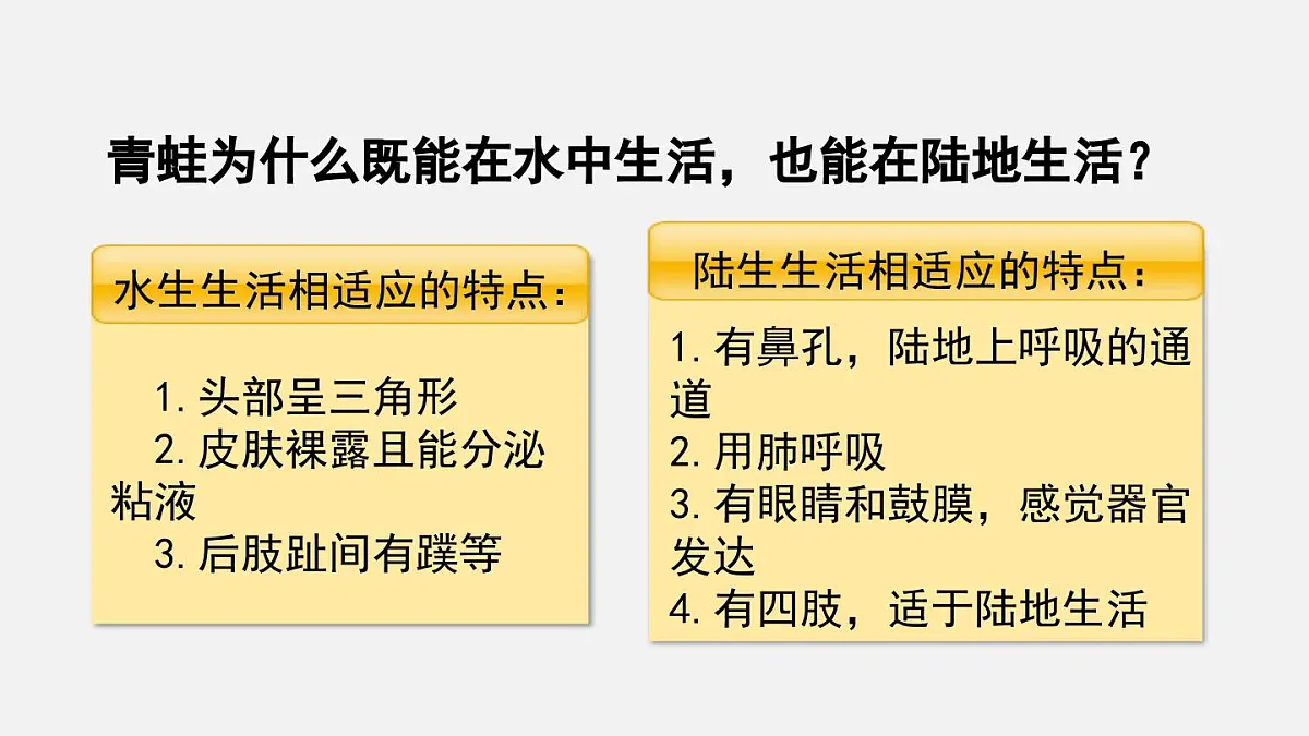 二 两栖动物和爬行动物（课件）2025年人教版七年级生物上册第7页
