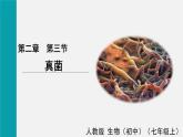 第三节 真菌（课件）2025年人教版七年级生物上册