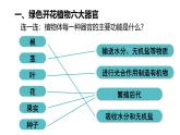2025年秋新人教版七年级生物上册 1.3.3植物体的结构层次（课件）