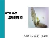 2025年秋新人教版七年级生物上册 1.3.4单细胞生物（课件）