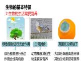 2025年秋新人教版七年级生物上册 1.1.2生物的特征（课件）