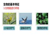 2025年秋新人教版七年级生物上册 1.1.2生物的特征（课件）