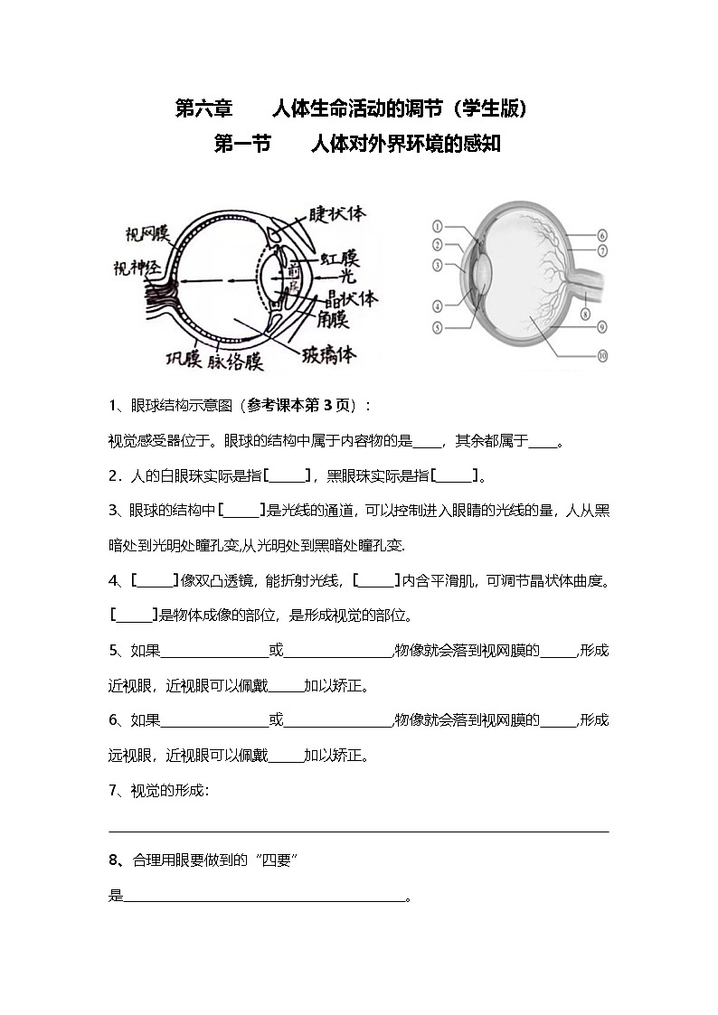 人教版初中生物八上4.6人体生命活动的调节  知识梳理（学生版）第1页
