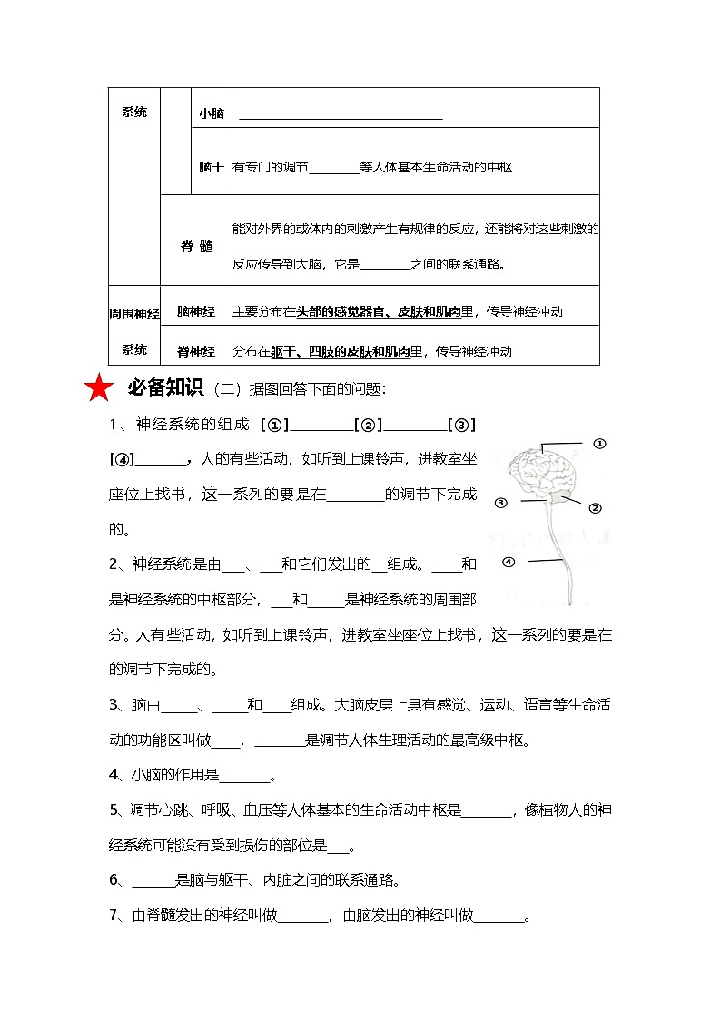 人教版初中生物八上4.6人体生命活动的调节  知识梳理（学生版）第3页