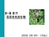 2025年北师大七年级生物上册 第1节  形形色色的生物（课件）