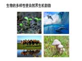 2025年北师大七年级生物上册 第1节  形形色色的生物（课件）
