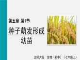 2025年北師大七年級(jí)生物上冊 第1節(jié)  種子萌發(fā)形成幼苗（課件）