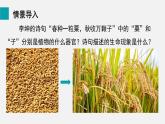 2025年北師大七年級(jí)生物上冊 第1節(jié)  種子萌發(fā)形成幼苗（課件）